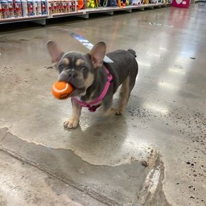 Meet your Posher, Christie